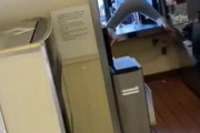 海外「ドライブスルーの窓から厨房に押し入り、勝利のケツ振りをして窓から去っていく黒人女」