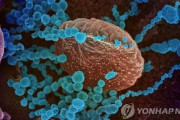 【韓国の反応】日本で紫外線を用いたコロナ感染防止技術開発…韓国人「てめえらはまず検査からまともにしろ、苦笑」「紫外線の殺菌機って今はじめて出たわけじゃないじゃん？？」