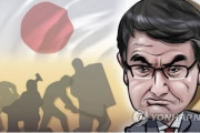 韓国人「日本が韓国人へのビザ発給要件の厳格化を検討！」河野外相が韓国に対する対応措置を示唆　韓国の反応