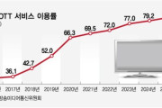 「Netflixのせいじゃない」韓国遊園地の存在感低下、現地では料金と魅力不足を指摘する声