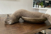 外国人「お前の猫おかしくね？と言われた写真をみんなで集めてみた(笑)」