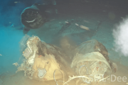 【海外】南シナ海に牛の遺体を1629メートル投下！思わぬ訪問者8種が明らかにした驚きの生態系とは？
