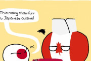 【世界】インスパイア料理【ポーランドボール】