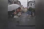 チャリのオバチャンが怖いｗヤバいドラレコ動画まとめ