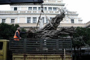 【海外】「アテネ、熱波を乗り越え緑豊かなアクロポリスへ生まれ変わる！新たに植樹された数千本の木々の魅力とは？」