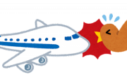 韓国の戦闘機、ワシにぶつけられただけで廃棄になる