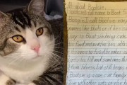 【海外】愛猫を手放した心 brokenな少女が綴った7ページの手紙が感動的すぎる理由とは？