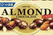 韓国人「日本の職人がお菓子の箱だけで作った作品がすごすぎる件」