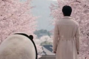 中国人「最近無性に日本旅行に行きたい。誰か私を止めて」　中国人「航空券が高すぎる。私は買ったけどね」「美しすぎるから行かない方がいい」