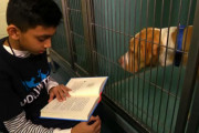 犬の調教の達人と呼ばれる少年、秘密は優しい読み聞かせ