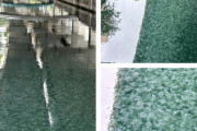 外国人「東京の川でクラゲが大量発生したらしい！」「水の透明度に感動した」