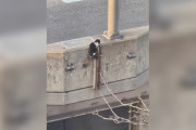 【海外】みんなが集まって助けようとする、高いところに閉じ込められた子猫の大冒険！