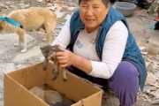 食うや食わずで4匹の子を世話していた野良犬は、子猫の面倒まで見ていた！