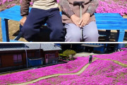 外国人が選ぶ素晴らしすぎる夫＆彼氏　日本の男性もランクイン