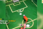 中国の男性「とってもユニークなサッカーチームが出来たよ」