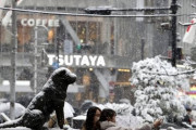 外国人「現在の東京は大雪でこんなことになってるらしいぞ」