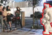 海外「オチが最高だねｗ」街の中で突然ゴミが動き出した！？日本のドッキリ映像に大ウケ！