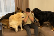 大型犬3頭の前で「うぇぇぇ〜〜〜ん！」と泣きはじめる飼い主さん。どのこが一番心配してくれるかな？