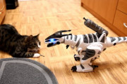 恐竜のロボットと遊ぶ２匹の猫ちゃん