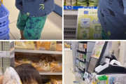 「日本には子供用の買い物カゴがあるらしいぞ」外国人が驚いた日本の物が話題