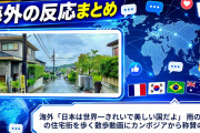 海外「日本は世界一きれいで美しい国だよ」 雨の愛知の住宅街を歩く散歩動画にカンボジアから称賛の声