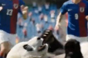 中国人「サッカー中国代表vs日本代表の対戦成績、1990年以降ひどいことに」　中国人「本当に笑える」「骨の髄からサッカーに向いていない」