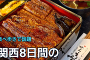関西8日間の食べ歩きに海外「葛切りとにしんそばが気になる」