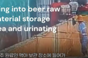 海外「中国の小便ビール。青島ビールのタンクに小便をしている労働者の姿が撮影される」