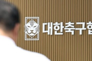 韓国人「ひどい失敗の原因を究明する！」政府がサッカー協会に特別監査を実施へ！