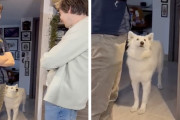 【海外】犬がそっくりさんの双子に出会っちゃった！もう何が本当かわかんなくなったよ！