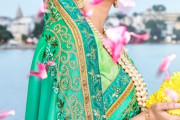 インドで世界最大のキャンペーン開始！！！