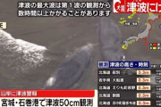 韓国人「日本に津波が到達…ﾌﾞﾙﾌﾞﾙ」