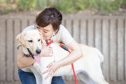 超可愛い♡子犬の盲導犬トレーニング「かわいさにやられました😝」「あの人は世界で一番いい仕事をしている」海外の反応