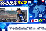 海外「人生で一番のスポーツ観戦体験だった」 米国の野球ファンが甲子園で阪神対西武を初観戦、熱気あふれるスタンドに感動の声