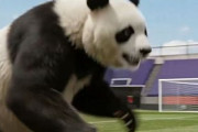 中国人「サッカーW杯、日本代表に守田が呼ばれなかった理由を日本紙が分析」　中国人「彼は本物の男」「三笘や堂安も反対したらしい」