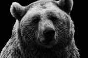 世界のネット民「あの男性、逃げ場のない岩山で突然クマに襲われてる」