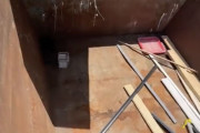 【海外】ゴミの中から発見！建設作業員が驚愕した3匹の赤ちゃんの秘密とは？