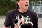 【海外】道端で見つけた子猫たちに心奪われた！出会いのドラマと6匹の幸運な子猫たちの物語