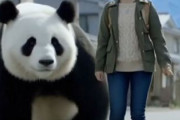 中国人「日本の地方都市はメンツをすごく重視することに気づいた」　中国人「美的センスの違い」「成金のような派手さが無い」