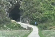 韓国人の反応「日本のトンネル、ここまで遊び心があるとは」→マリオカート？