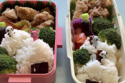 海外「私が作った鶏の唐揚げ弁当。一つは私用、もう一つは息子用」→「おいしそう！」「すごくかわいい！」「すばらしい出来だね」