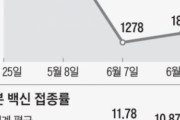 【韓国の反応】日本で1日100万人の接種 五輪開催でムード反転。韓国の反応「韓国はオリンピックボイコット。領土守護がメダルより百万倍大切。」