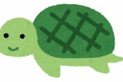 「小さな亀が食パンの上に乗っているんだけど…なぜかクスッとなった」