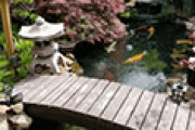 父が作った日本庭園の写真に外国人が興味津々 海外の反応