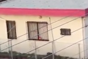 イノシシが執拗にサラリーマンを襲う映像が怖すぎるんだが　海外の反応