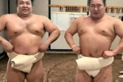 海外「なんで日本の相撲はモンゴル人が圧倒しているんだ？なぜ他の国籍の人じゃないんだ？」