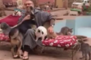 ここは動物たちの楽園か。動物救助センターで起こるほのぼのな光景。海外の反応