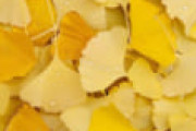 海外「まるで魔法の世界だ！」 日本の美しすぎるイチョウ並木のライトアップに絶賛の声