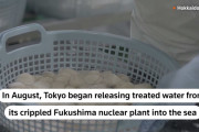 【海外の反応】米軍が中国の禁輸措置に対抗して日本の水産物を大量購入　海外の反応「日本の漁業を支えるのは米軍の仕事なのか、中国が輸入していた量の一部に過ぎない。」