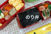 台湾人「日本のAKBメンバーがインスタに投稿しているお弁当の写真、量が少なすぎる。アイドルだから少食を装ってるのかな？」　台湾の反応